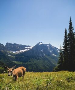 Canon EF-M 11-22mm f/4-5.6 STM Lens 25 813KKDfIx6L