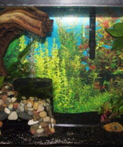 uxcell XINYOU XY-380 Aquarium Fish Tank Biochemical Sponge Filter, 4-1/2-Inch (1-Pack) 1-pack 30 813OxBaMMvL