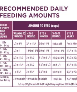 Purina ONE Plus Healthy Puppy Formula High Protein Natural Dry Puppy Food with added vitamins, minerals and nutrients - 8 lb. Bag Dry Food Chicken 8.00 Pound (Pack of 1) 25 813P45bMNAL