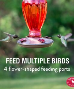 Alternative view of Perky Pet 8133-2 Daisy Vase Vintage Glass Hummingbird Feeder Red Chic,Vintage