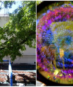 GloFX Black Kaleidoscope Glasses- Rainbow Rave Prism Diffraction 37 813RNjNMYL