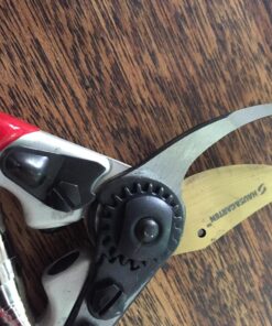 Haus & Garten PrecisionPRO 8" Titanium Pruning Shears - Heavy Duty Professional Bypass Pruner - Use As Rose Clippers, Premium Gardening Secateurs, Garden Scissors, Handheld Yard, Tree, & Plant Tool 31 813UWG1raXL