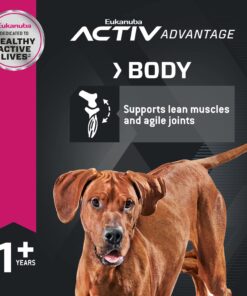 Eukanuba Adult Large Breed Dry Dog Food, 30 lb 30 Pound (Pack of 1) 29 813VBVoFDCL