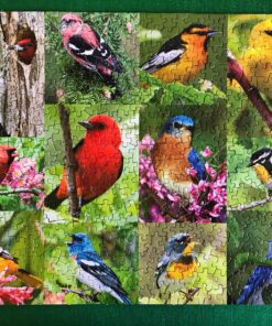 Springbok Birds of a Feather 500 piece Jigsaw Puzzle for Adults features a photo collage of colorful American birds 20 813WPkq IjL