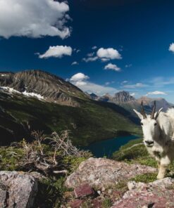 Canon EF-M 11-22mm f/4-5.6 STM Lens 26 813Wag3LGNL