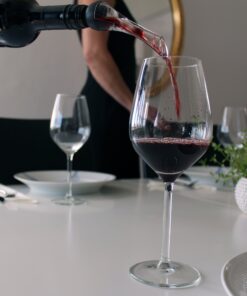 Barvivo Red Wine Aerator and Wine Saver Pump with 2 Vacuum Bottle Stoppers - Preserver For Your Wine - Ultimate Gift Idea as Valentines Day Gifts - Wine Vacuum Pump for Enhanced Taste of Wine Silver 16 813YcGl7yL