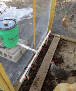 10 PVC Tee for Threaded Red Chicken Nipples Or Threaded Brass Rabbit Nipples 20 813bvzM9W4L