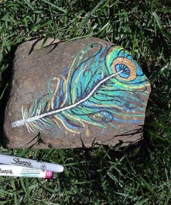 SHARPIE Oil-Based Paint Markers, Fine Point, Assorted Colors, 5 Count - Great for Rock Painting Classic Assorted 5 Count (Pack of 1) Fine Tip 31 813e5HLTtdL