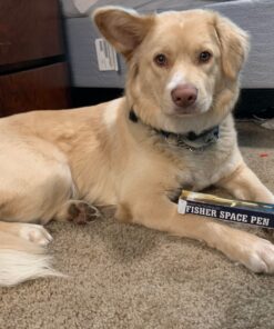 Fisher Space Pen - Non-Reflective Military Matte Black M4B- Cap-O-Matic - Gift Boxed 27 813eN7GvxQL