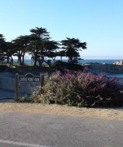 Samsung Galaxy Tab A 7"; 8 GB Wifi Tablet (Black) SM-T280NZKAXAR Black 72 813flge8fUL