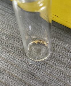 Nugget Reserve Gold Paydirt Clunker Panning Pay Dirt Bag – Gold Prospecting Concentrate 46 813ichvgyHL