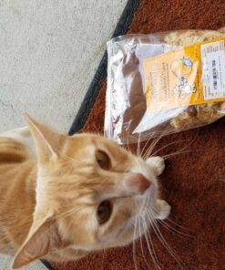 Cat-Man-Doo Extra Large Dried Bonito Flakes Treats for Dogs & Cats - All Natural High Protein Flakes - 4oz. / 112g Bag 4 Ounce (Pack of 1) 50 813jLH7jBjL 1