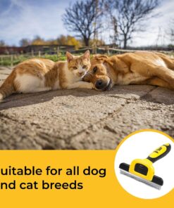 Thunderpaws Best Professional De-Shedding Tool and Pet Grooming Brush, D-Shedz for Breeds of Dogs, Cats with Short or Long Hair, Small, Medium and Large (Yellow) Yellow 25 813lsW MK L