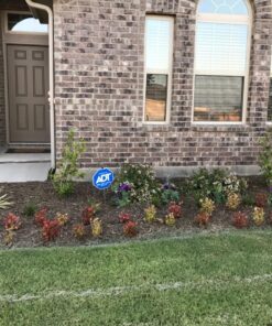 TeaDrops Organic All Purpose Plant Fertilizer – 16 Liquid Indoor House Plant Food Packets – Make up to 32 Gallons (Easy use in Watering Can & Containers, Ecofriendly) All Purpose Fertilizer 54 813nZEseOL