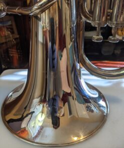 MusicNomad Silver Polish for Silver & Silver-Plated Instruments, 4 oz (MN701) 58 813qlpWGnKL