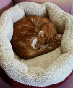 Petmate Aspen Pet Self Warming Round Bed, 19.5 Inches, Barn Red and Cream 19.5"L x 19.5"W x 7.0"Th 41 813rdoHhQXL