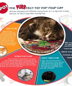 SPOT Ethical Products Ethical Wide Colorful Springs Cat Toy, Medium Breeds 32 813yDXTk3AL
