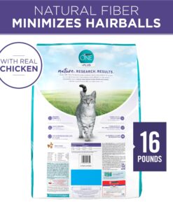 Purina ONE Natural Cat Food for Hairball Control, +PLUS Hairball Formula - 16 lb. Bag Chicken 16.00 Pound (Pack of 1) 27 813yV7xiVL