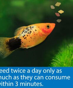 API TROPICAL FLAKES Fish Food 5.7-Ounce Container 5.7 Ounce (Pack of 1) 20 813yVUdadcL