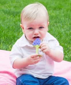 Innobaby Original Teethin Smart EZ Grip Fruit Teether and Sensory Toy for Babies and Toddlers in Grape. BPA Free Teether 17 814 16f5tL