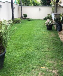 Great States 415-16 16-Inch Reel Mower Standard Full Feature Lawn Mower with T-Style Handle and Heat Treated Blades 16-Inch, 5-Blade Reel Only 54 81410LmZp0L