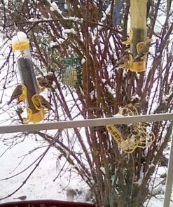 Stokes Select Thistle Tube Bird Feeder with Six Feeding Ports, Yellow, 1.6 lb Capacity - 38224, small 22 8144auNEXgL