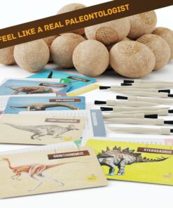 Dig a Dozen Dino Egg Dig Kit for Kids - Dinosaur Toys Gift 3-12 Year Old - 12 Eggs & Surprise Dinosaurs - Science STEM Activities - Educational Boy Toy Party Gifts for Boys & Girls Ages 3-5 4-7 5-7+ 43 8147RhCEsfL