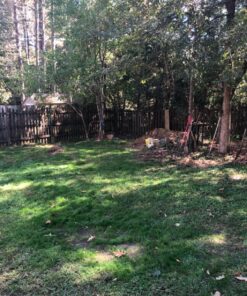 Scotts Turf Builder WinterGuard Fall Weed & Feed3, Weed Killer Plus Fall Fertilizer, 5,000 sq. ft., 14.29 lbs. 5,000 sq. ft. 32 8148rREn97L