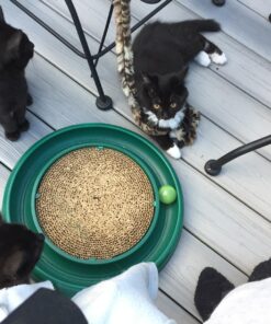 Purina ONE High Protein, Natural Dry Kitten Food, +Plus Healthy Kitten Formula - 16 lb. Bag Dry Food Chicken 16.00 Pound (Pack of 1) 41 814B0elvgAL