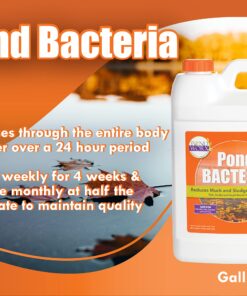 Alternative view of PondWorx Pond Bacteria - Formulated for Large Ponds, Water Features and Safe for Koi - Gallon 1 Gallon (128oz)