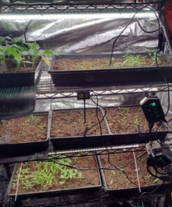 VIVOSUN 10"x 20.75" Seedling Heat Mat and Digital Thermostat Combo Set, UL & MET-Certified Warm Hydroponic Heating Pad for Germination, Indoor Gardening, Greenhouse 10"x20.75" 39 814Ei8ZFoL