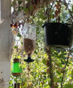 Easy to Make your Own - recycle empty SODA pop Bottle Top BIRD FEEDER (Green - Pack of 3) 7 814Ev7GeBcL