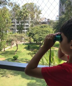 Binoculars for Kids 8x21 High-Resolution - Kids Binoculars Gift Set for Boys & Girls, Shockproof & Compact for Bird Watching, Travel, Hiking, Camping, Hunting, Children Outdoor Gear Green/Blue 37 814K09tGbL 1