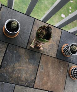 Shop Succulents | Assorted Collection of Live Succulent Plants, Hand Selected Variety Pack of Mini Succulents | | Collection of 5 in 2" pots 19 814L9XaXhiL