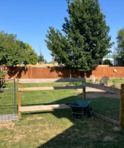 Best Choice Products Dual-Wheel Home Utility Yard Wheelbarrow Garden Cart w/Built-in Stand for Lawn, Gardening, Grass, Soil, Bricks, and Construction, Green 43 814MHyogqL