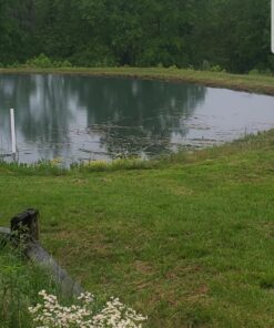 Jenlis The Original Weed Razer, Lake Weed Cutter, Large Pond Aquatic Plant Cutting Tool, Long and Sharp Razor Blades Shear Cattail, Reed, Lilly & Chara Algae, 48 Inch Cut Width, 25 Foot Throw Rope Jenlis Weed Razer Aquatic Weed Cutter 41 814QbzglofL 1