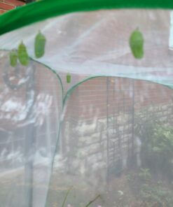 Trasfit Pop-up Insect and Butterfly Habitat Cage Terrarium - 24 Inches Tall 58 814SBqLYM L