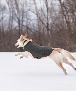 Kurgo Loft Dog Jacket, Reversible Dog Coat, Wear with Harness or Sweater, Water Resistant, Reflective, Winter Coat For Medium Dogs (Chili Red, M) Chili Red/Charcoal 37 814WgdgurdL