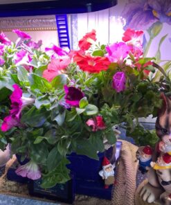 By Mark & Margot Mischievous Cat with Granny - Black Stripes (Mischievous Cat) (Black Stripes) 34 814eC3 QSFL 2