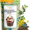 90,000 Wildflower Seeds - 3oz Pure Wild Flower Seed Pack - 25 Variety - Perennial Flower Seeds for Attracting Birds & Butterflies - Open Pollinated, Flower Garden Seeds for Planting Outdoors Perennial (3oz) 34 814j2P6RRaL 2