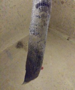 SUNHE 40 Pieces Lint Traps For Washing Machine, Snare Laundry Mesh Washer Hose Filter with 40 Pieces Cable Ties (40) 31 814lsqGSgrL