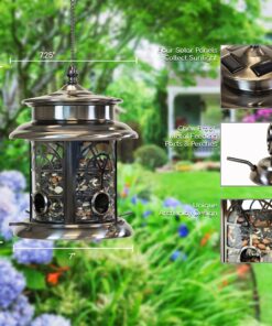Sunray Arch Inlay Solar Lighted Bird Feeder (Pewter) 8 814n1jZDS5L
