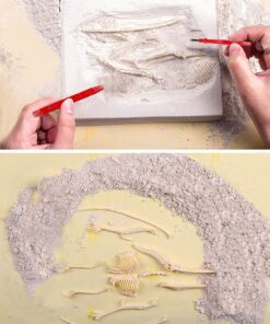 Dinosaur Excavation Kits for Kids,Dino Dig Kits T-Rex,Triceratops and Diplodocus,Dinosaur Fossil Excavation Kits,Children's Popular Science Education Toys - Dinosaur DIY Toys(Three-Piece Suit) 15 814nZh5BRoL