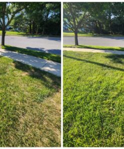 Lawnlift Ultra Concentrated (Green) Grass Paint 16oz. = 1.375 Gallons of Product. 40 814olze4sSL