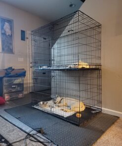 Ultra Absorbent Odor Control Training Pads For Dogs Leak-proof Quick Dry Gel – Extra Large 30 x 28 Pee Pads - Fresh Scented - 50 Count, Pack of 1 XL 30" x 28" - 50 Count, Pack of 1 37 814pH05oMhL