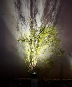 InnoGear Solar Lights for Outside, Solar Lights Outdoor Waterproof Solar Garden Yard Spot Lights Spotlight Pathway Landscape Lighting Wall Light Auto On/Off, Pack of 2 (White) White 60 814rW8ds2UL