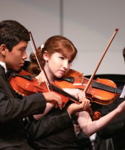 Vif Full Size 4/4 Violin Handmade Stradivari 1721 Copy German Style Fiddle Case Bow Music Hobby with Bag 4/4 & Polishing 29 814spRF P9L 1