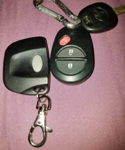 Firefly 300 multicode 3089, 3060, 3070, Compatible Keychain Remote with Better Range & You Pay Less! (Gray) 22 814t1vJDTL