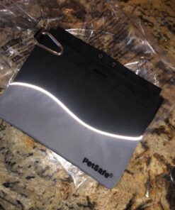 PetSafe Treat Pouch Sport- Durable, Convenient Dog Training Accessory, Standard, Black 52 814zySECXnL