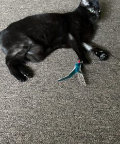 GoCat Da Bird Pull 2 Piece Pull Apart Rod & Bird, Handmade in The USA (1 Bird) 23 8151qmyf sL